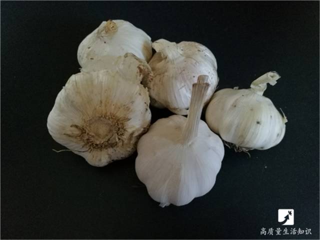 夏天怎样保存大蒜不坏的 e41Y-fykcypq3902449.jpg
