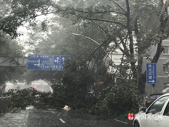 天鸽登陆地:珠海中午瞬时大风曾达16级,破93