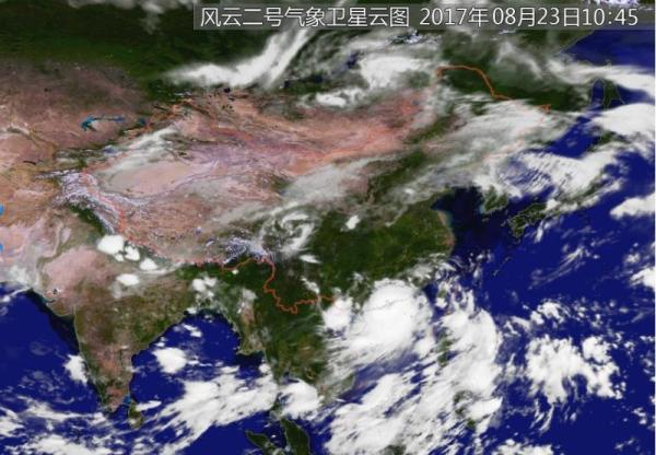 一天连跳两级,小个头 天鸽成今年以来