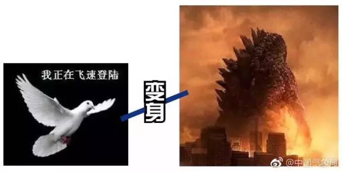 直播:鸽斯拉13时前后珠海到台山沿海登陆,或