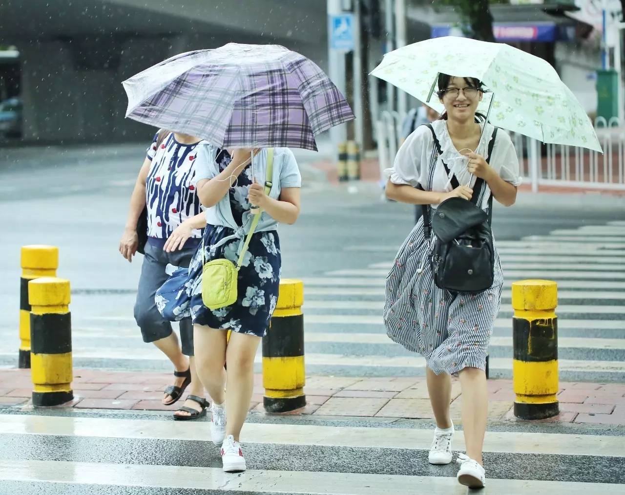 直播:鸽斯拉13时前后珠海到台山沿海登陆,或