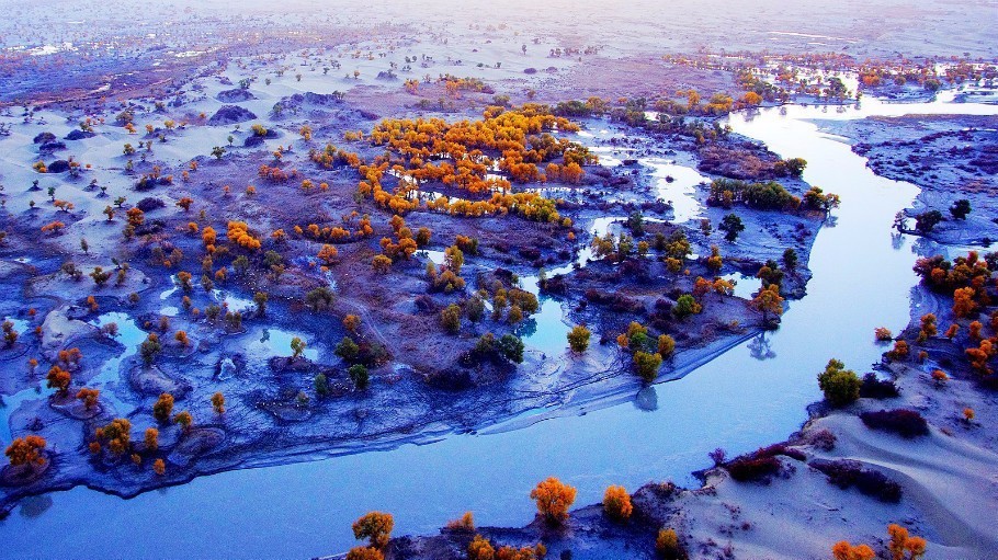 8-9月份去新疆旅游的5个理由|新疆|喀纳斯湖|克