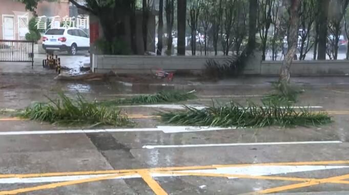 视频|13号台风天鸽中午登陆 珠海全市停工停