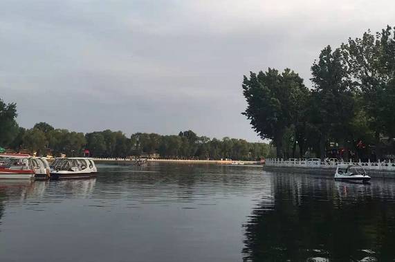 在酒吧唱歌需要歌手证,没有证的会被警察带走