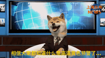 422_235gif 动态图 动图