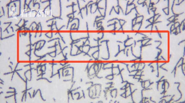 视频|女子用PS伪造B超单 诬陷民警执法时殴打