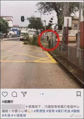 周润发冒台风砍树清路被"活捉",还有这些"没名字"的身影更让人暖哭~