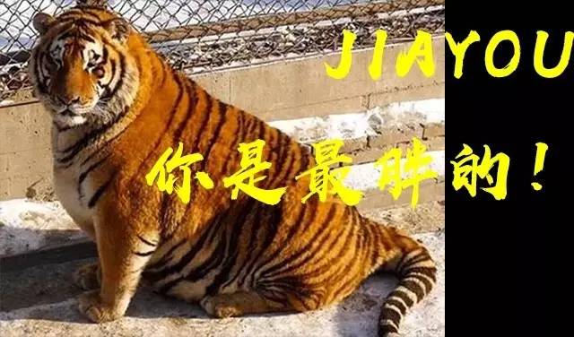 全球变胖?是,胖胖胖!