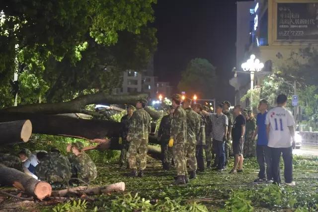 台风天鸽已致16人遇难!这些地方今天下午有