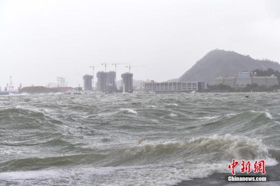 8月23日，台风“天鸽”登陆广东，深圳迎来狂风暴雨。 中新社记者 陈文 摄