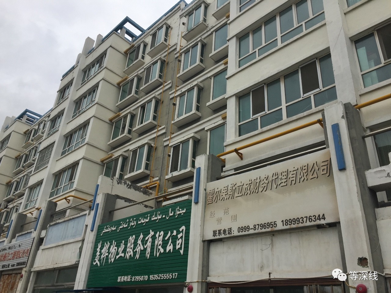 【等深线】中国开曼霍尔果斯: 贾跃亭范冰冰