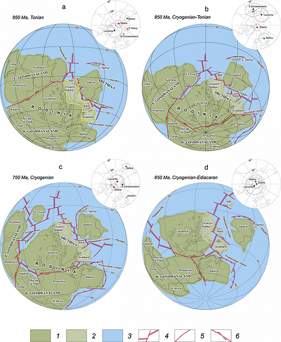 地球复杂生命起源新线索:冰河期导致多细胞生
