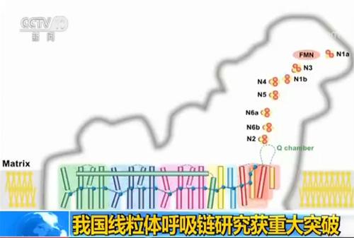 链源多少人口_博社村人口多少(2)