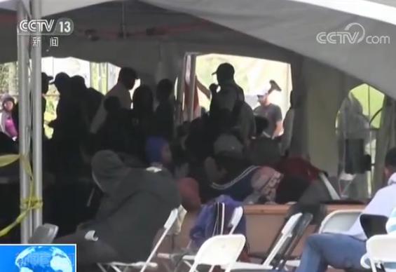 加拿大政府着力应对大量非法越境者|特鲁多|越