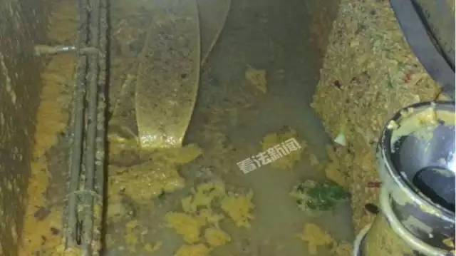 海底捞现老鼠爬进食品柜,火锅漏勺掏下水道…