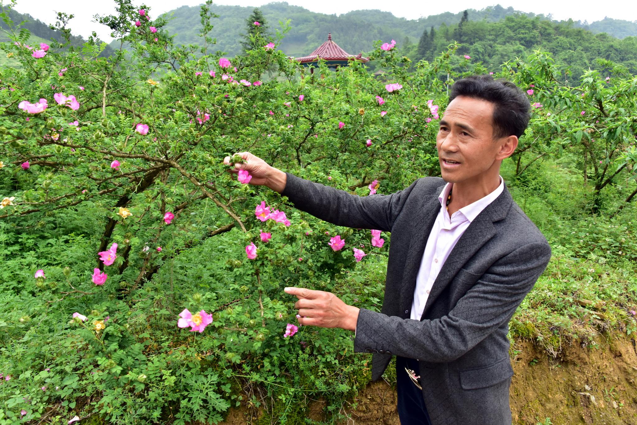 龙里县城有多少人口(2)