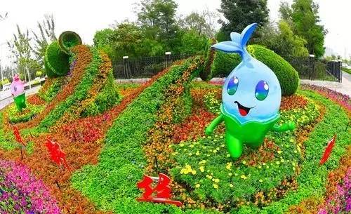 寻城记丨银川街头多出400万盆鲜花,快看看有没