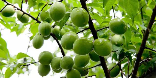 刚公布!国家支持!每个获1500万,云南这33个地