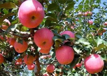 刚公布!国家支持!每个获1500万,云南这33个地