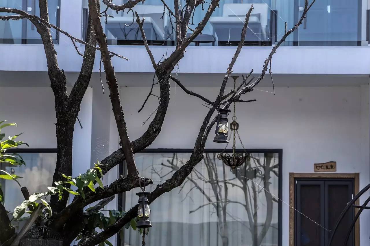 洱海客栈关闭之后 | 有客栈老板跑滴滴补贴亏损