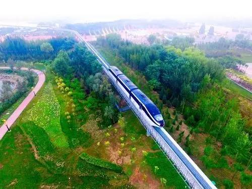 寻城记丨坐上开往花海的云轨,去看花博园!最新