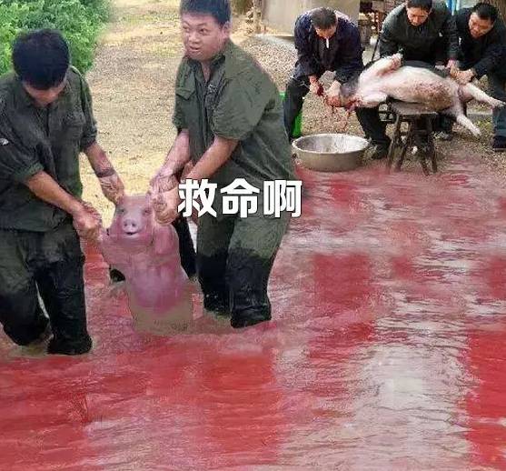 2,求大神帮我p八块腹肌