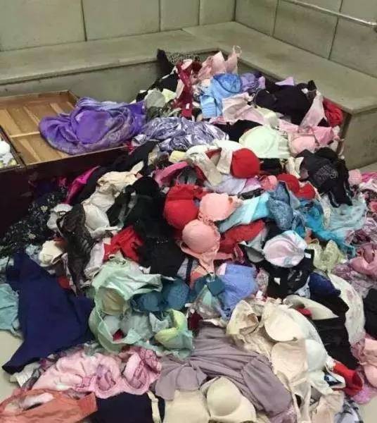 偷内衣裤_偷女士内衣裤图片