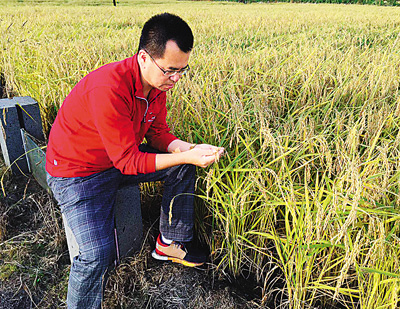 海归成为社会发展的“智力动车组”