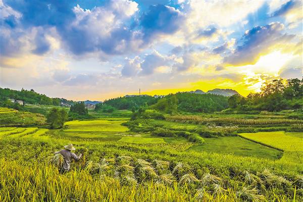 高清田野图片