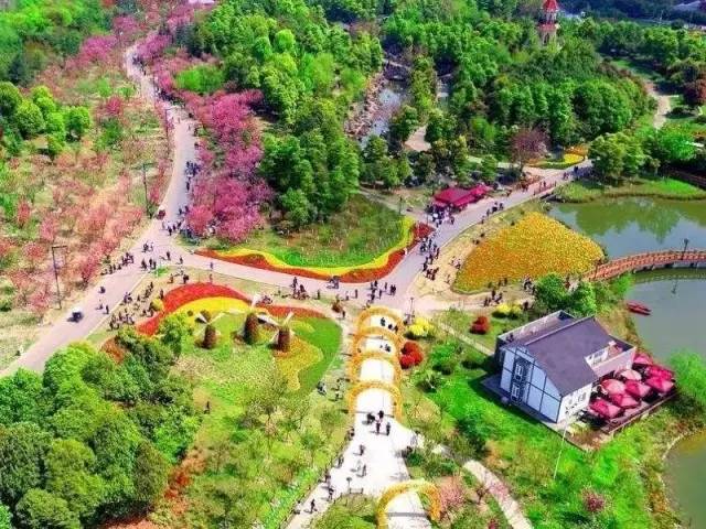 低空飞行、赏花走廊…未来成都近郊游将有大变