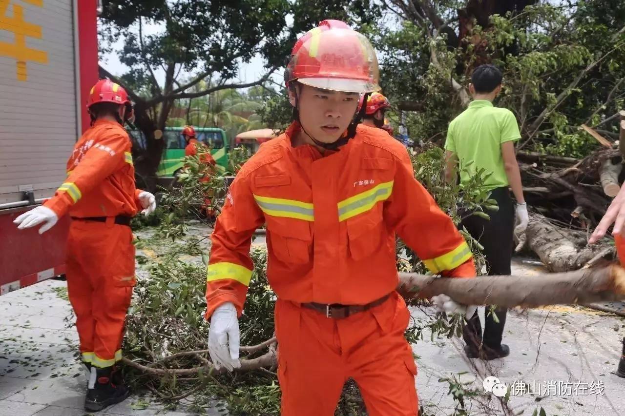 台风帕卡登陆!高速、铁路、航班最新停运消