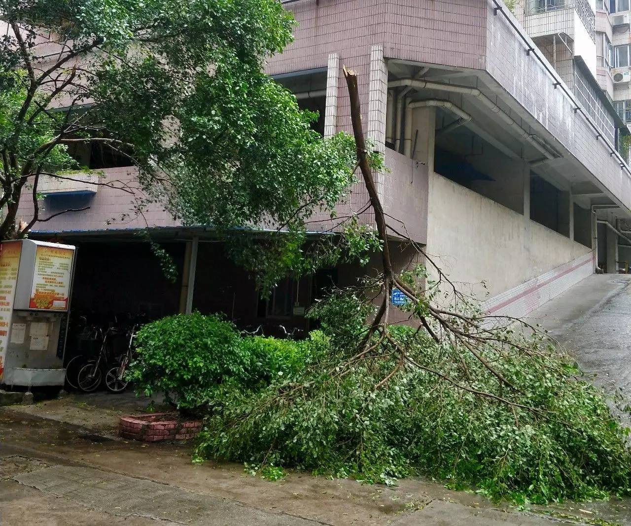 台风帕卡登陆!高速、铁路、航班最新停运消