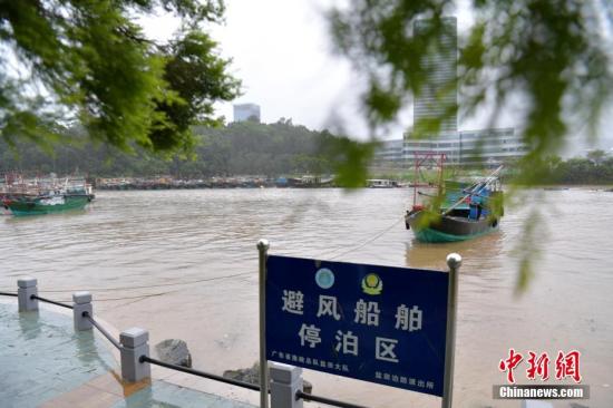 8月27日，2017年第14号台风“帕卡”给深圳带来狂风暴雨。记者在罗湖区、盐田区采访中看到，部分路段积水、树木折断、渔船回港避风、户外广告牌坠落、海水变浑等台风掠过景象。中新社记者 陈文 摄