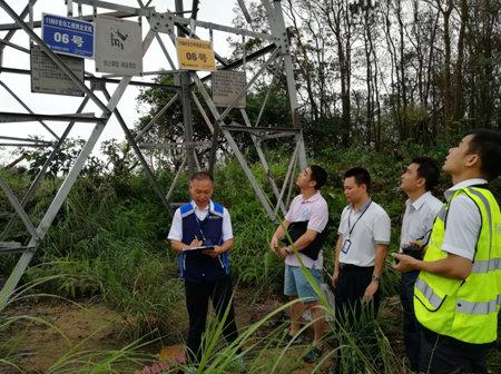 鼎和保险启动应急预案迎战台风帕卡|保险|帕