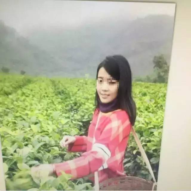 诈骗团伙微信假扮 白富美 卖茶叶 结果反被 套路