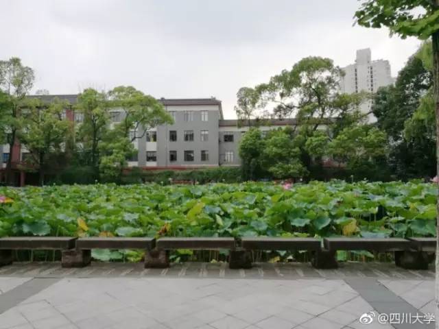 大学生注意!这10类职业单身率超高...