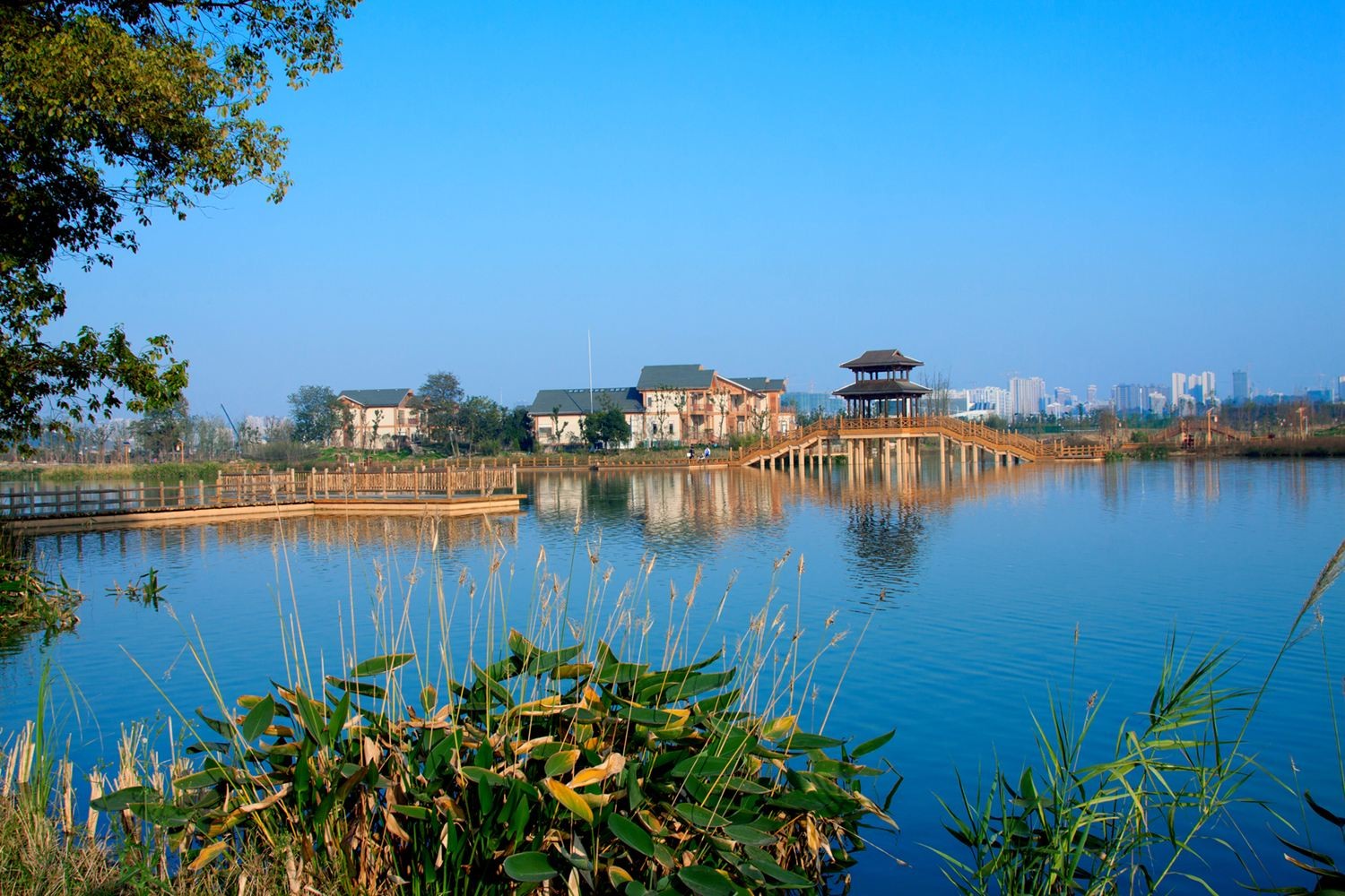 长沙人七夕去哪?听说这几个地方最适合“虐单身狗”|花明楼|岳麓山|橘子洲_新浪新闻