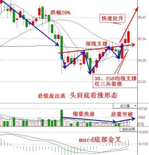 报业绩大增116%,或即开启暴涨!|中报|涨停|选股