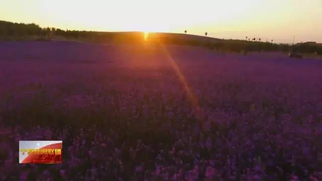 银川各区gdp_银川各区地图(3)