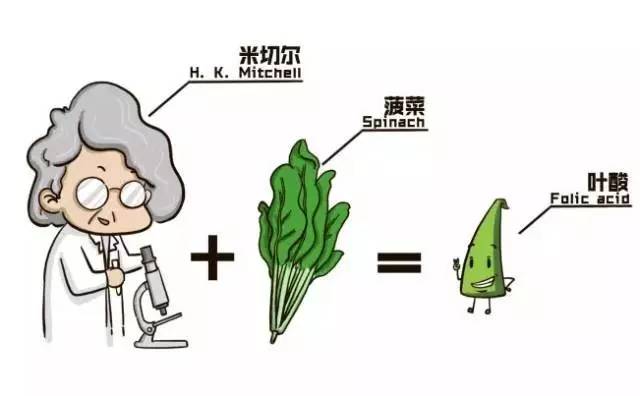 七夕幸福“钜惠“ 半价百元检测!还送全家福\/孕味照尊享拍摄噢~|叶酸|高血压|天堂_新浪新闻