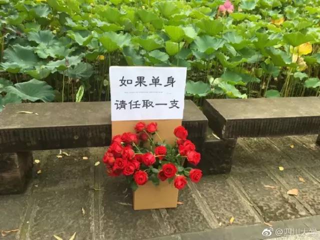 大学生注意!这10类职业单身率超高...