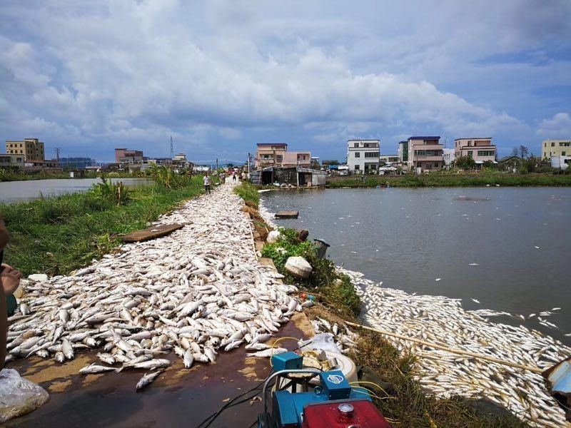 七夕这个节日,我们只想感谢这群人|帕卡|台风|珠海
