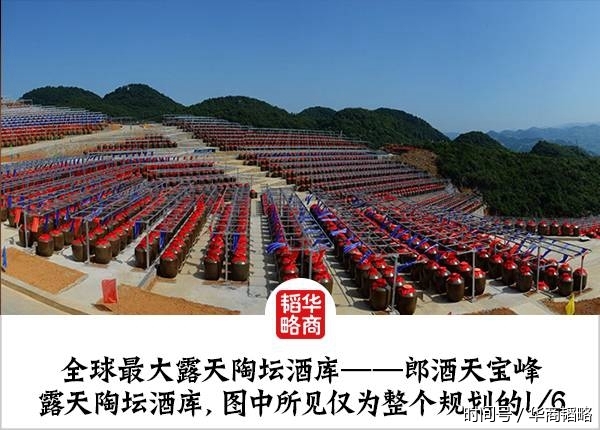 市值刚过6000亿,茅台就迎来个举它牌的人|举牌