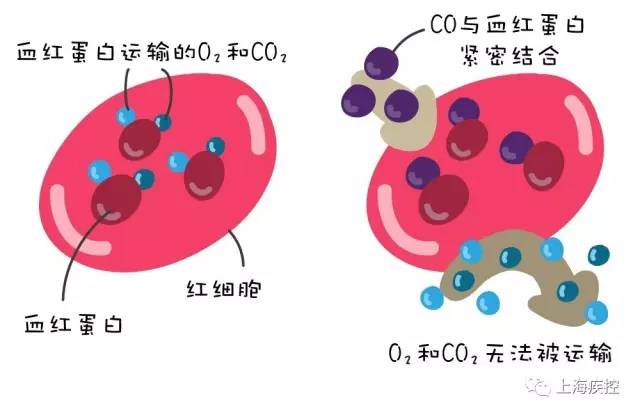 太吓人了!鄞州5同事吃火锅突然集体倒地,呕吐