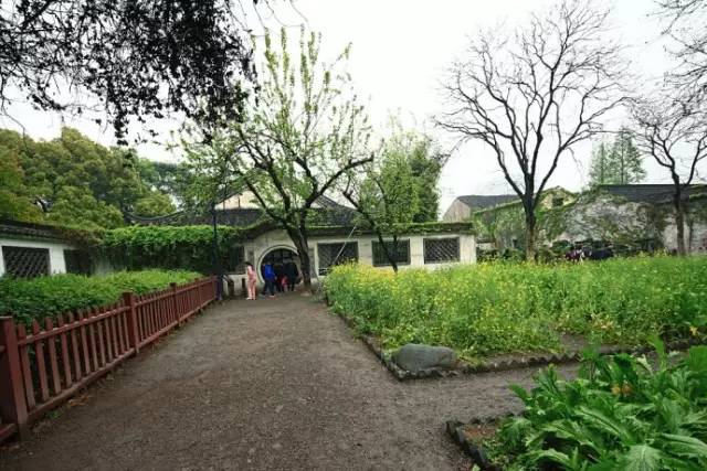 【百草园】 "不必说碧绿的菜畦,光滑的石井栏,高大的皂荚树,紫红的