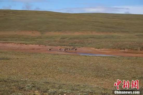 新闻早餐来了丨2017-8-29|医保|辛格|施廷懋