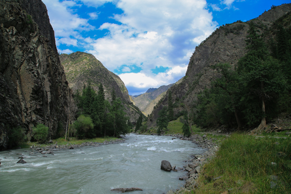 :棚改 小游园 共享单车 听曲子远足 看呼图壁华