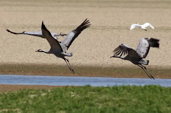 民生地州:棚改 小游园 共享单车 听曲子远足 看