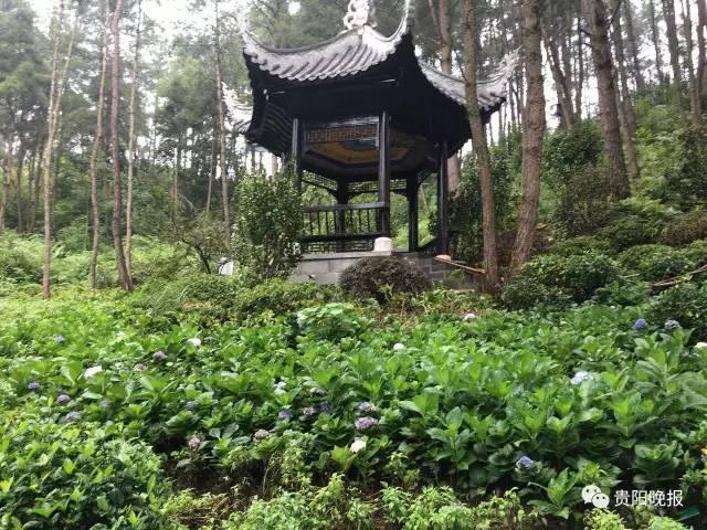 有WIFI、有鲜花、还能一键呼救!贵阳这个公园