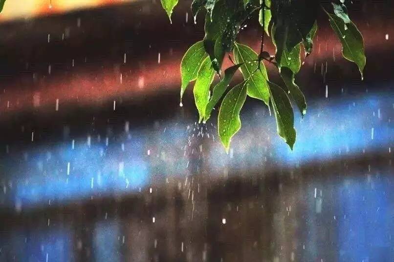 天气丨西安本周秋雨绵绵,最低温仅15度|秋雨|天